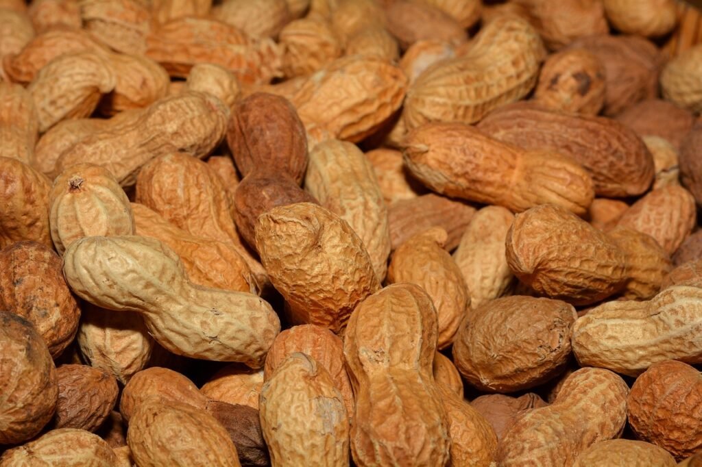 10 High-Protein Snacks That Actually Taste Good